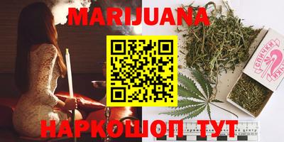 индика Заводоуковск