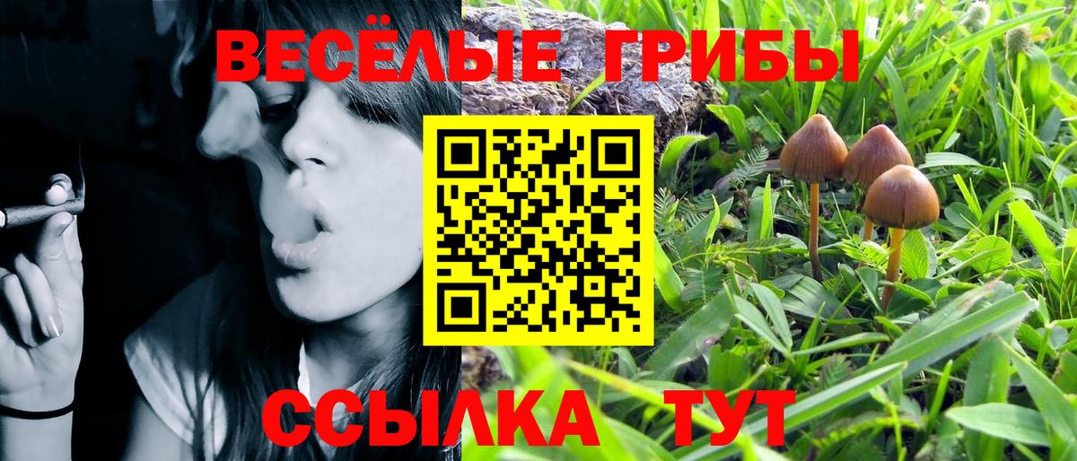 Галлюциногенные грибы MAGIC MUSHROOMS Орехово-Зуево